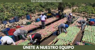 COSECHADORES - SOLICITA PERSONAL PARA TRABAJAR