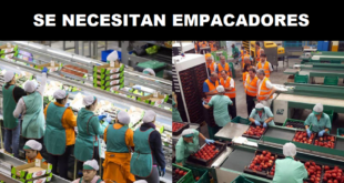 EMPRESAS SOLICITAN EMPACADORES -POSTULA YA