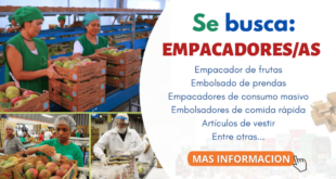 SOLICITAN EMPACADORES DE FRUTA - POSTULA YA