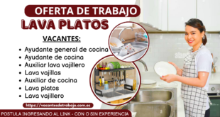 SOLICITAN LAVAPLATOS - INGRESO INMEDIATO