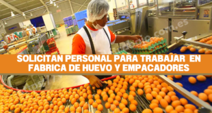 EMPRESA SOLICITA EMPACADORES DE HUEVO - POSTULA YA