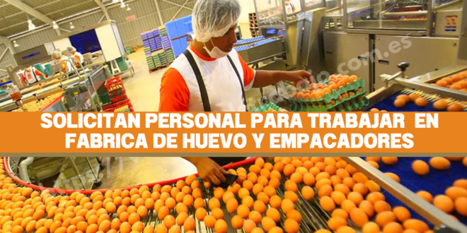 EMPRESA SOLICITA EMPACADORES DE HUEVO - POSTULA YA