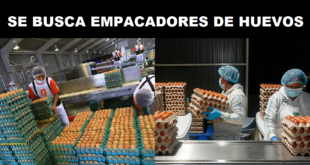 REQUIEREN EMPACADORES DE HUEVO - POSTULA YA