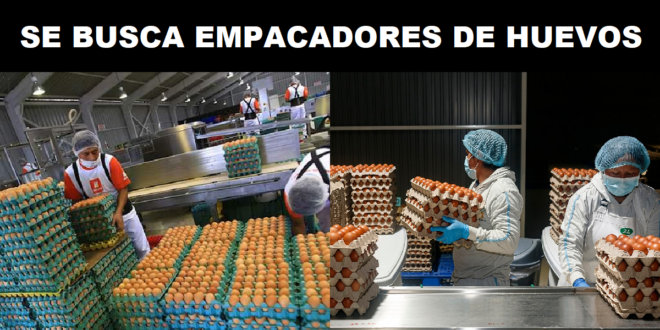 REQUIEREN EMPACADORES DE HUEVO - POSTULA YA