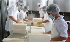 EMPLEO DE EMPACADORES DE YOGURT / PRODUCTOS LÁCTEOS