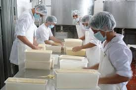 EMPLEO DE EMPACADORES DE YOGURT / PRODUCTOS LÁCTEOS